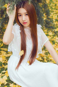狮子王3